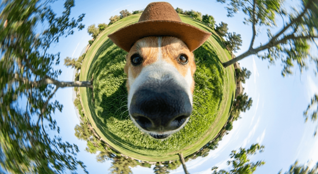 Fast generation preview showing detailed lighting and texture